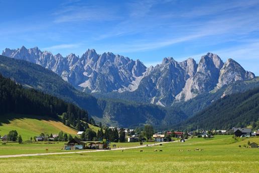 Pension Edelweiß Appartement Wimmer Gosau Extérieur photo