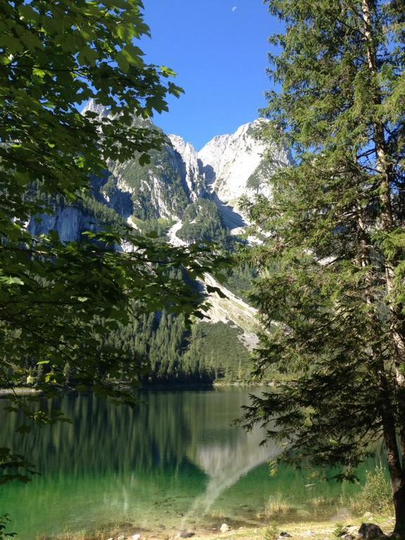Pension Edelweiß Appartement Wimmer Gosau Extérieur photo