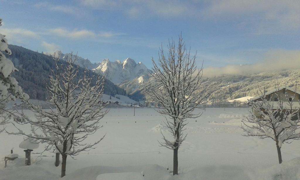 Pension Edelweiß Appartement Wimmer Gosau Extérieur photo