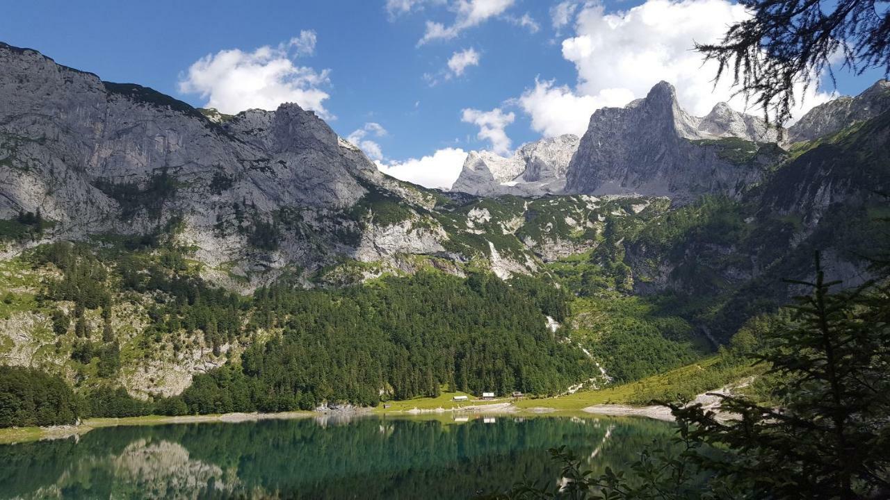 Pension Edelweiß Appartement Wimmer Gosau Extérieur photo