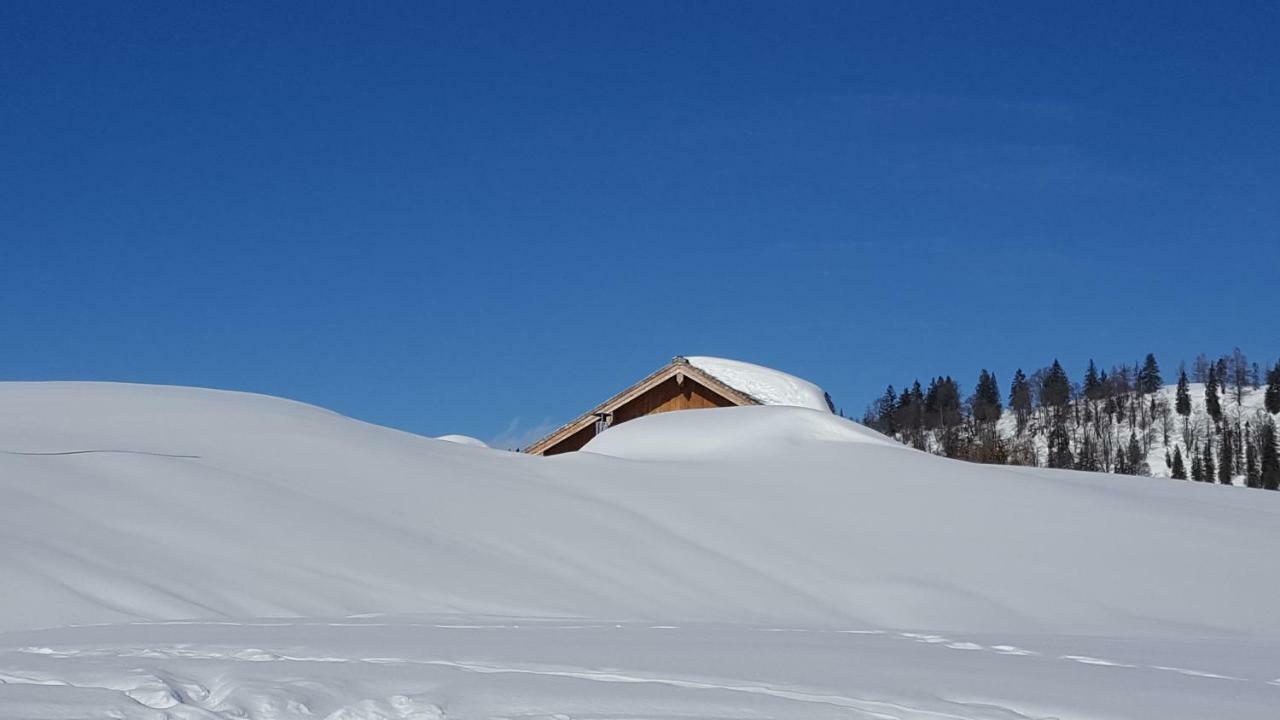 Pension Edelweiß Appartement Wimmer Gosau Extérieur photo