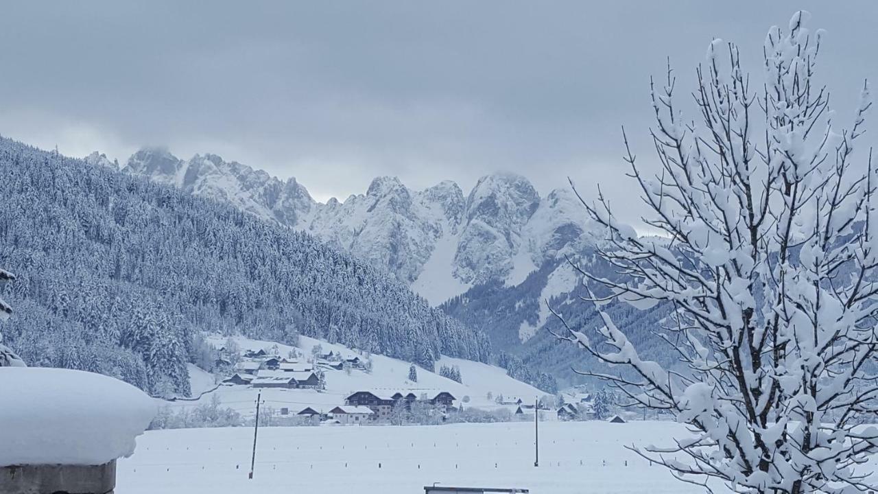 Pension Edelweiß Appartement Wimmer Gosau Extérieur photo
